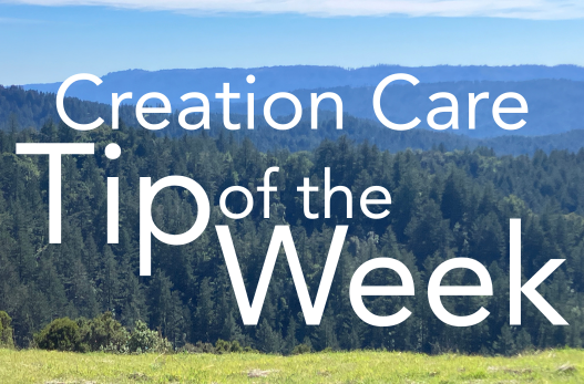 Creation Care tip of the week