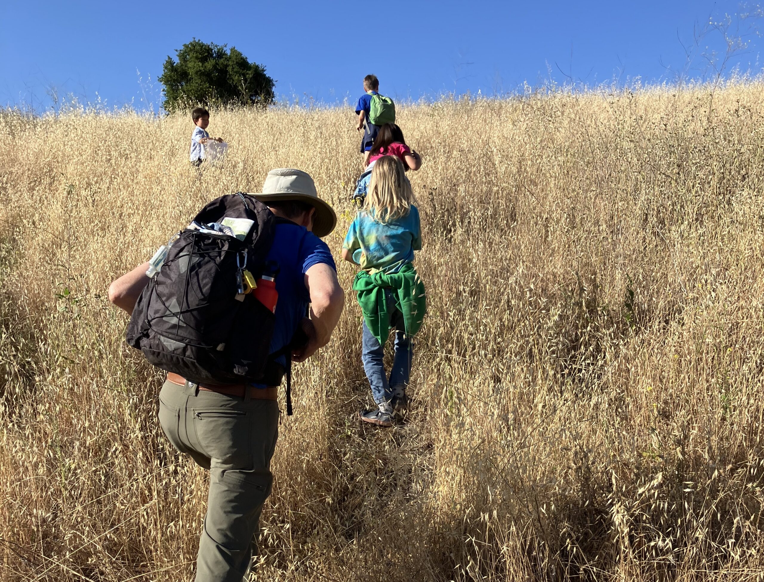 People hiking up a golden hill