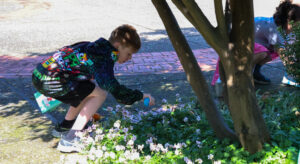 A child finding an easter egg