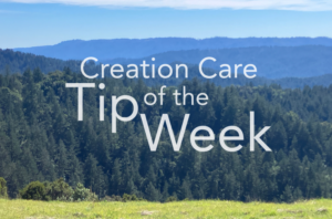Creation Care Tip of the Week