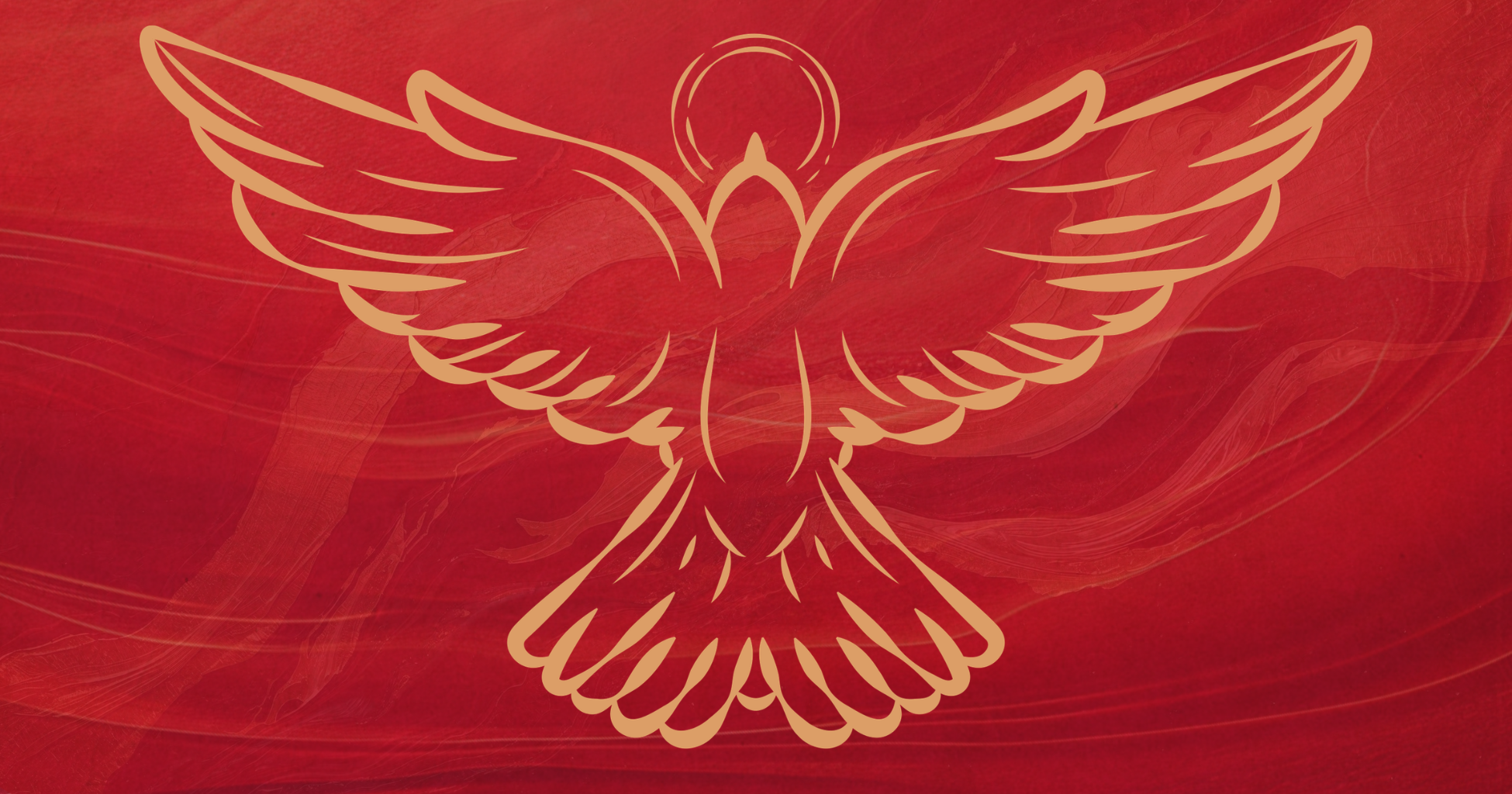 Dove on red background