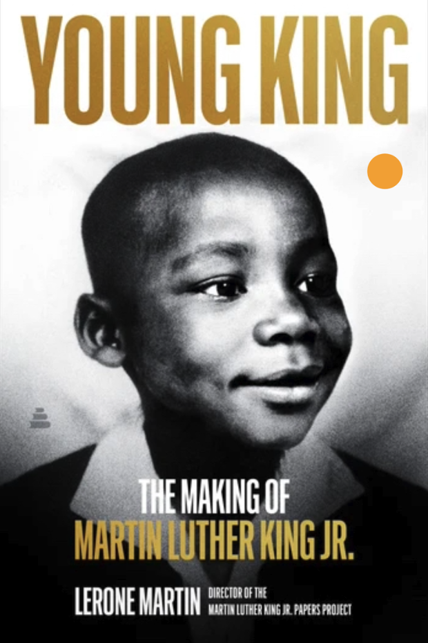 Young king book cover
