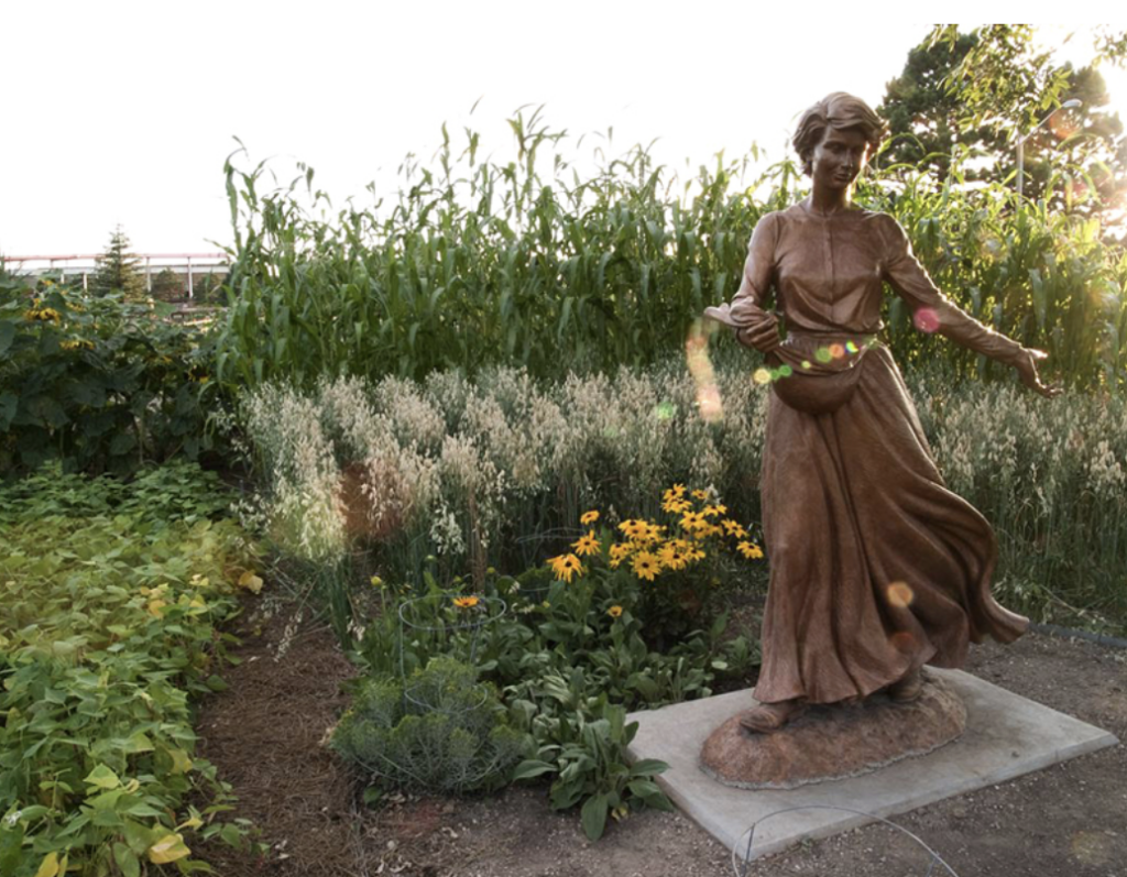 Seed and the Sower