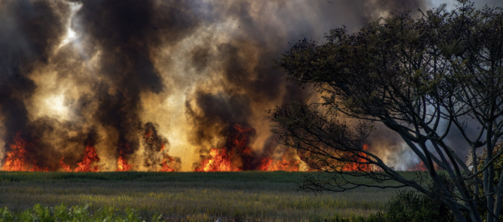 Wildfires in France