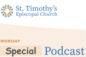 Picture with the text "Special podcast"