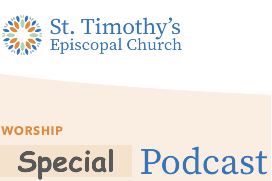 Picture with the text "Special podcast"