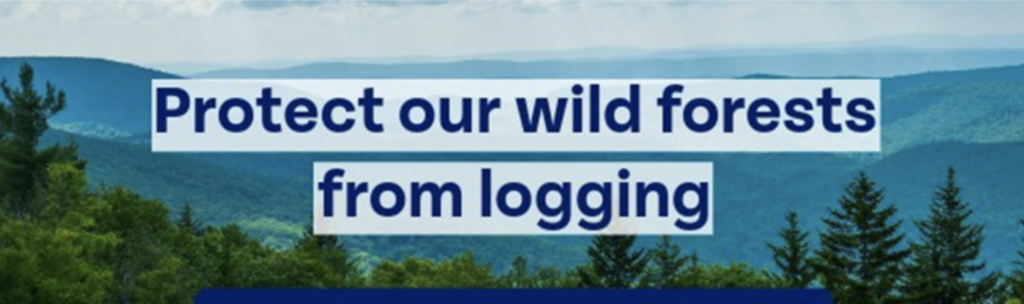 Landscape with the text "protect the wild forests from logging"