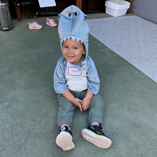 A toddler dressed up as a shark