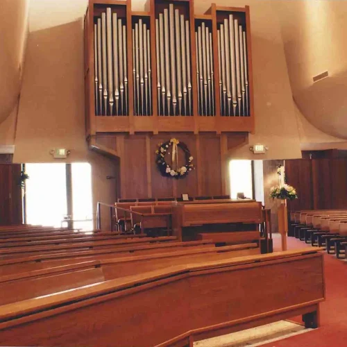 growth-1-interior-pre-reno-organ