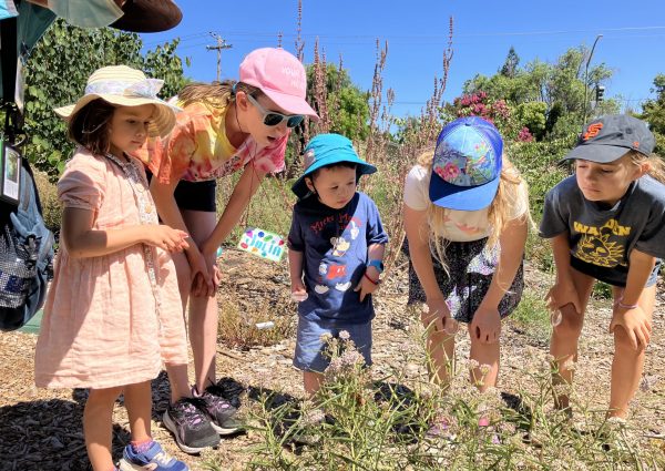 Kids in a garden inspecting flowers